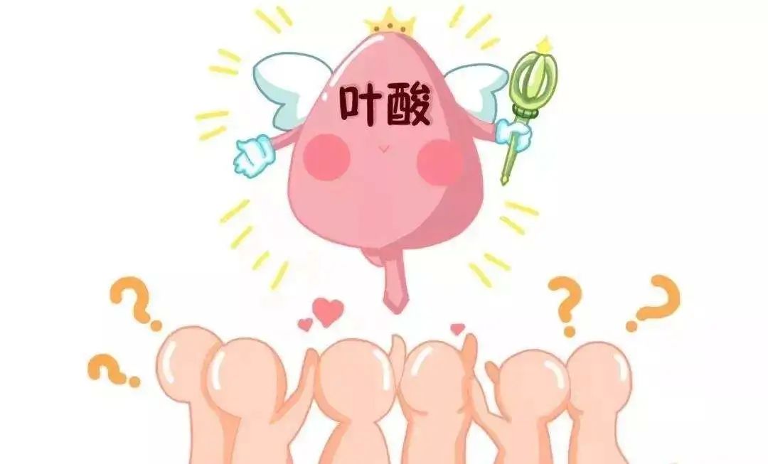 怀孕补叶酸需要补吗,50岁补叶酸每年补多长时间