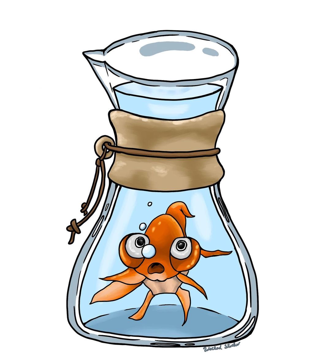 养鱼先养水的秘诀顺口溜,井水养鱼要不要先养水