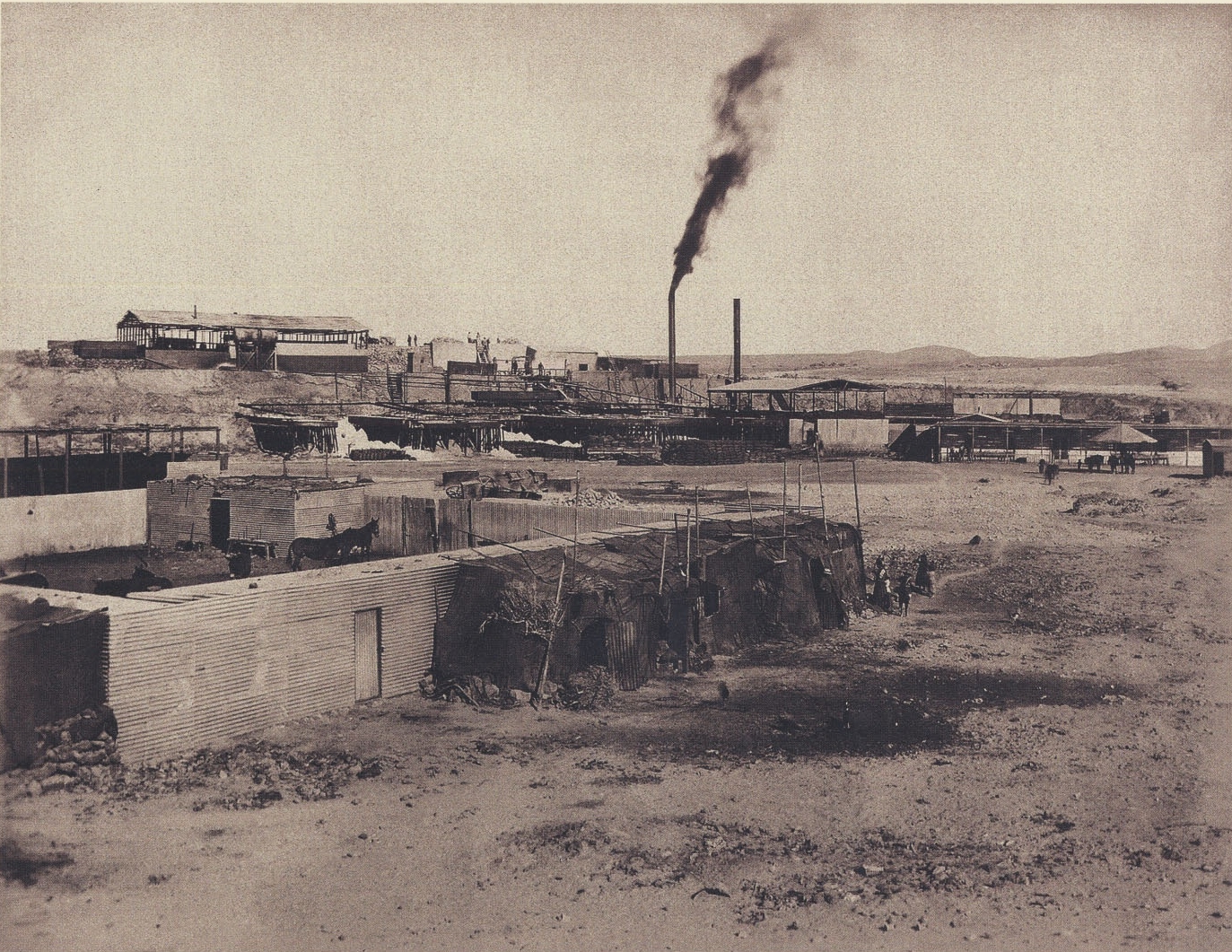 疑似外星生物遗骸,不明外星人遗骸曝光