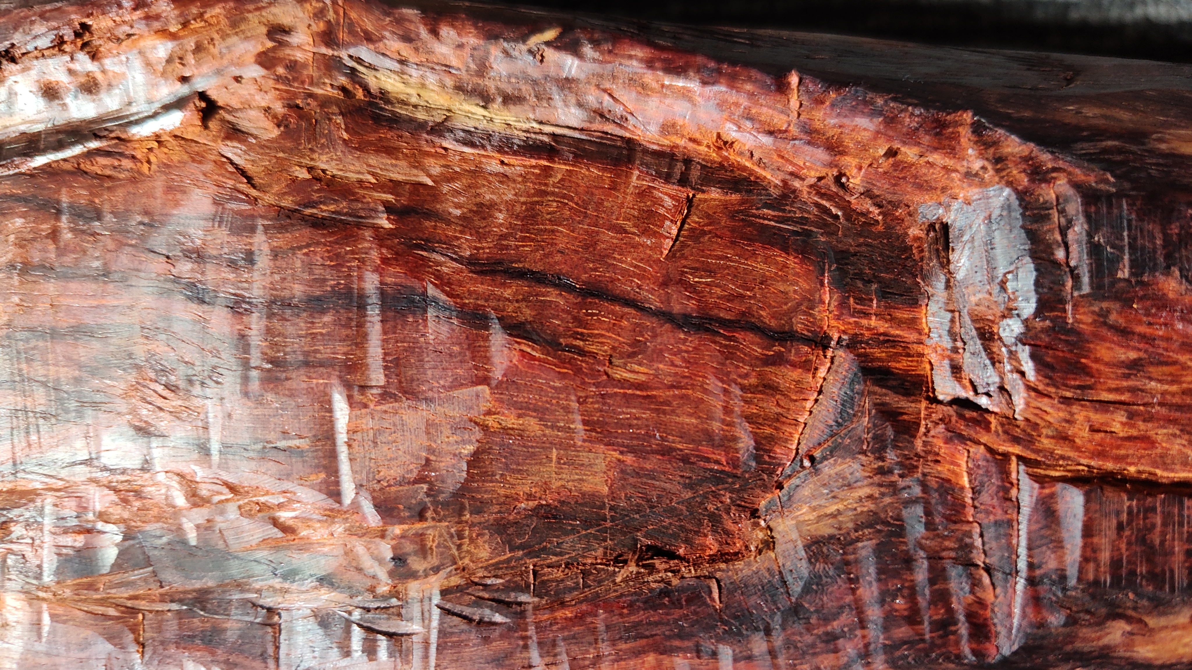 印度小叶紫檀金星多的料子好吗,印度小叶紫檀金星原木老料