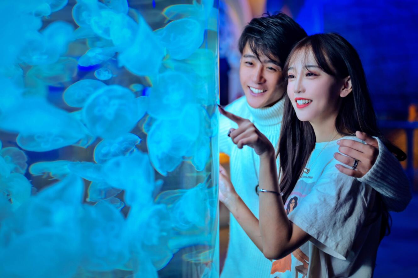 西安海洋公园好看吗,西安华夏海洋公园