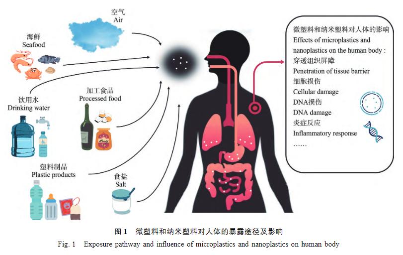 砧板耐用防霉测评方法,砧板铁木测评