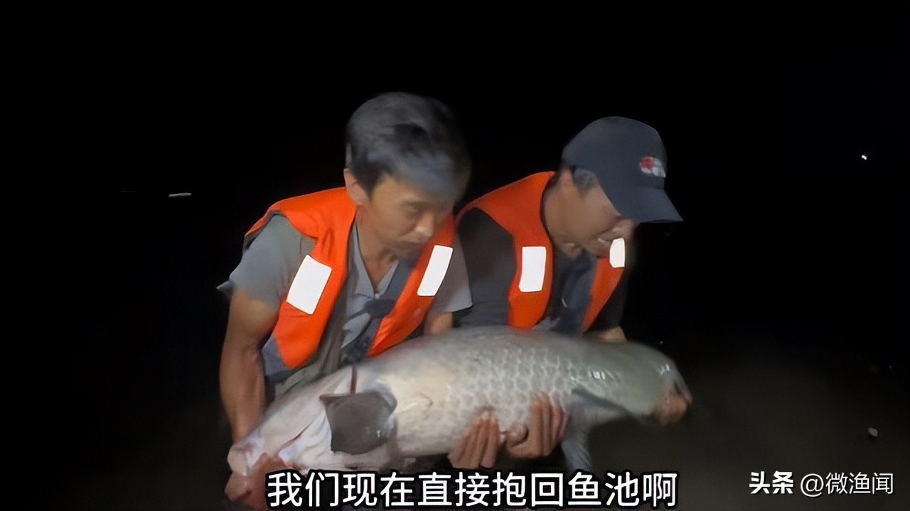 遛鱼巨青,网红钓鱼500块钓到6000块的鱼