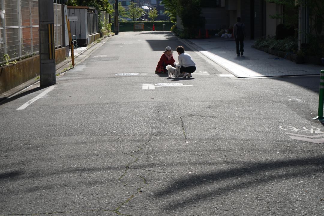 城市探索方案,城市探索计划幕后