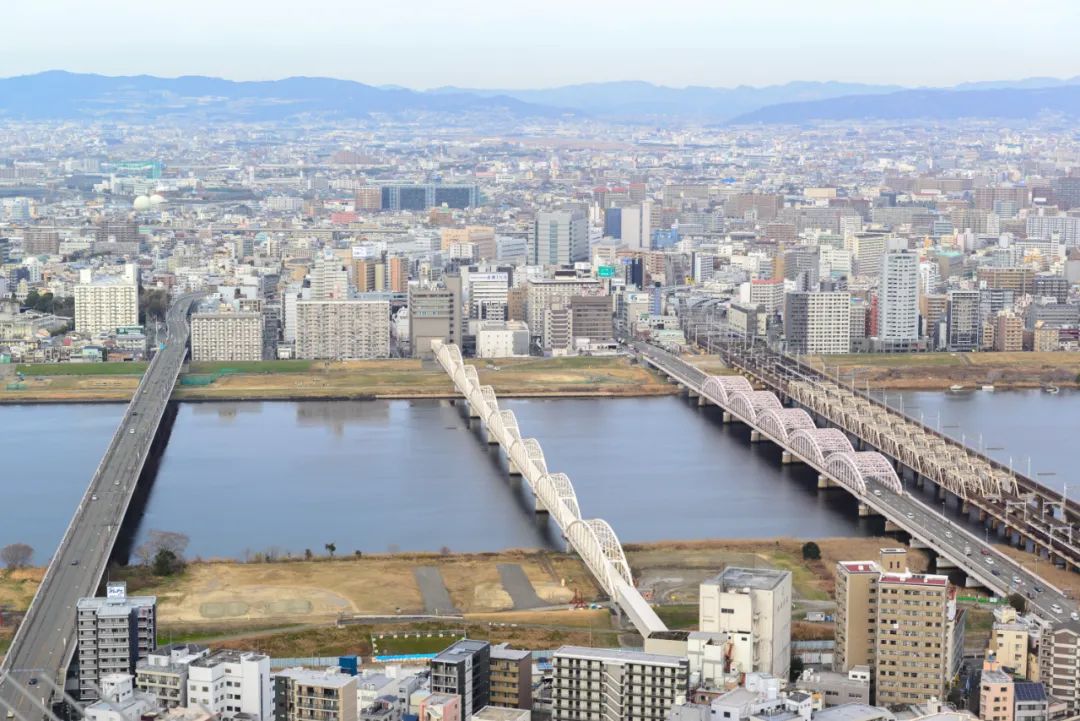 日本01年出生人口,日本01假面骑士