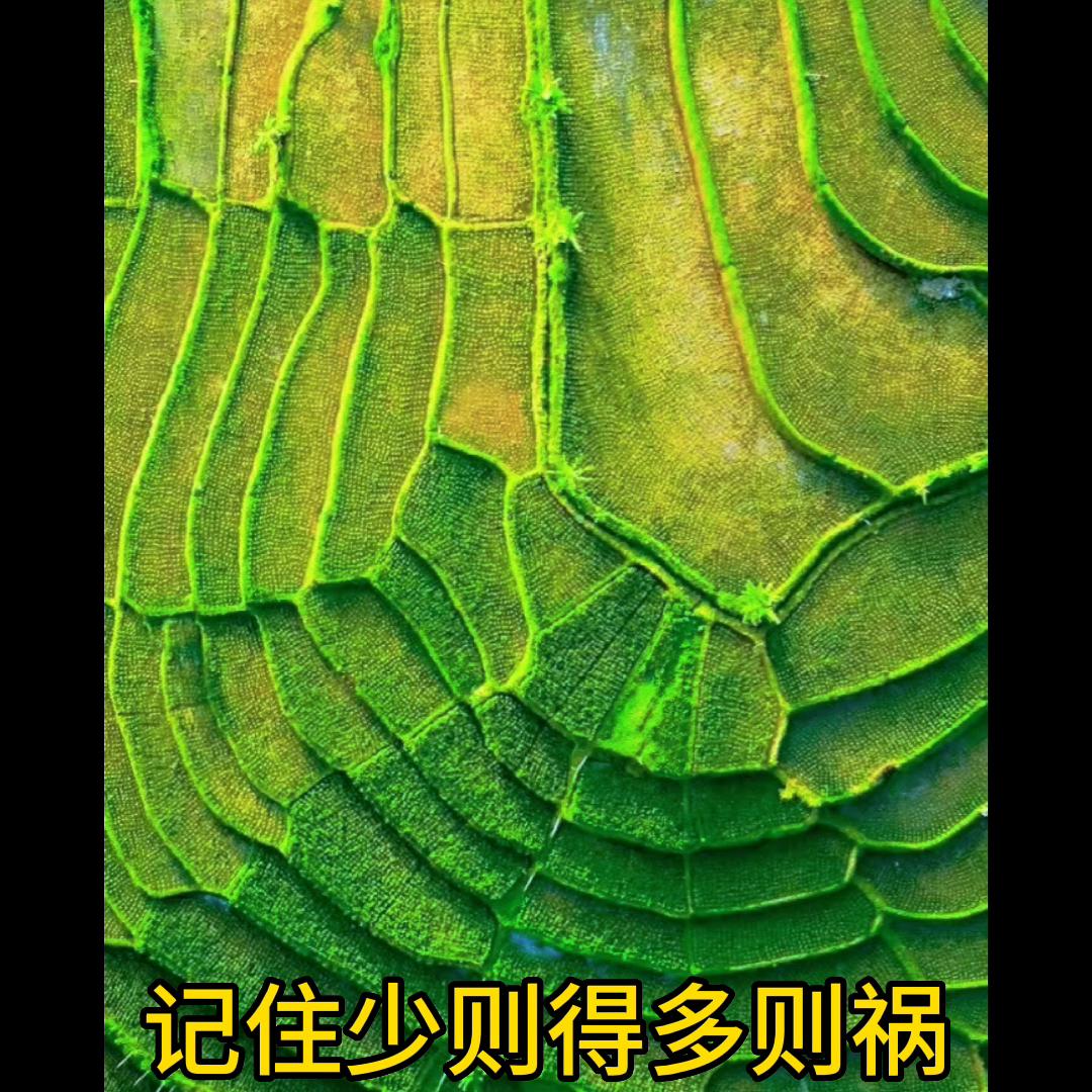 赚钱思维100个方法,赚钱思维100个方法案例