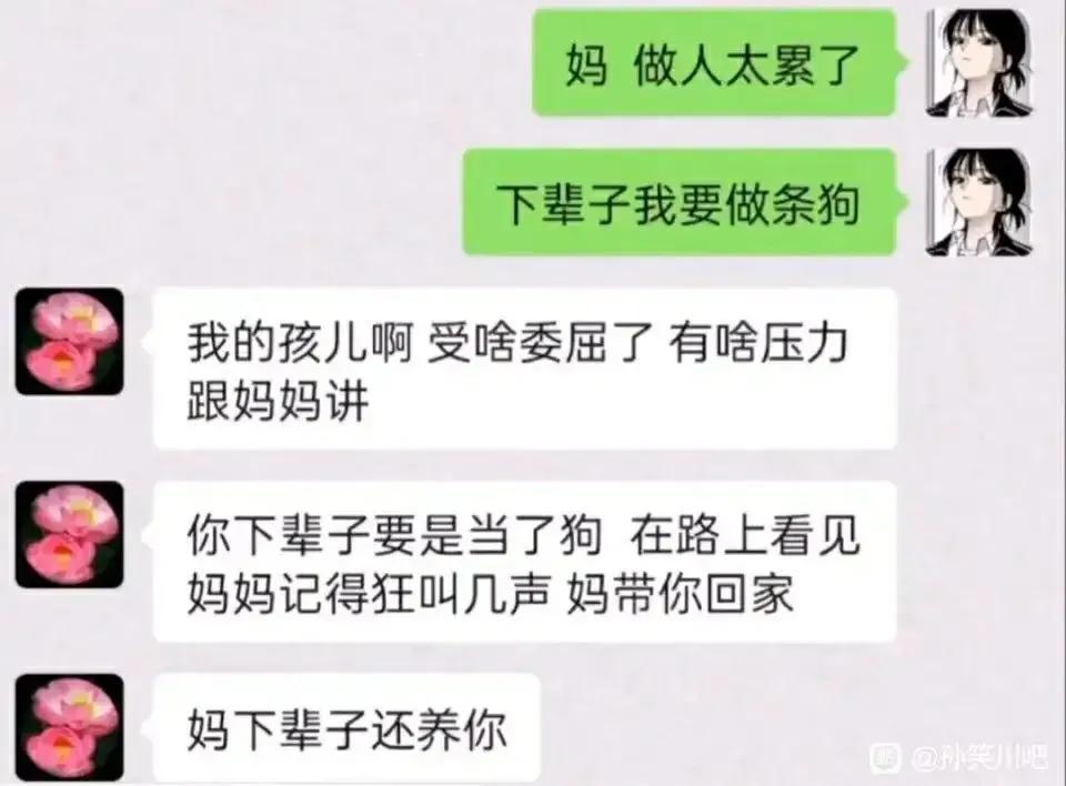 看得泪流满面好辛酸,看得人泪流满面图片