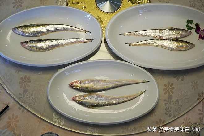 探秘美食记,探秘海鲜美食