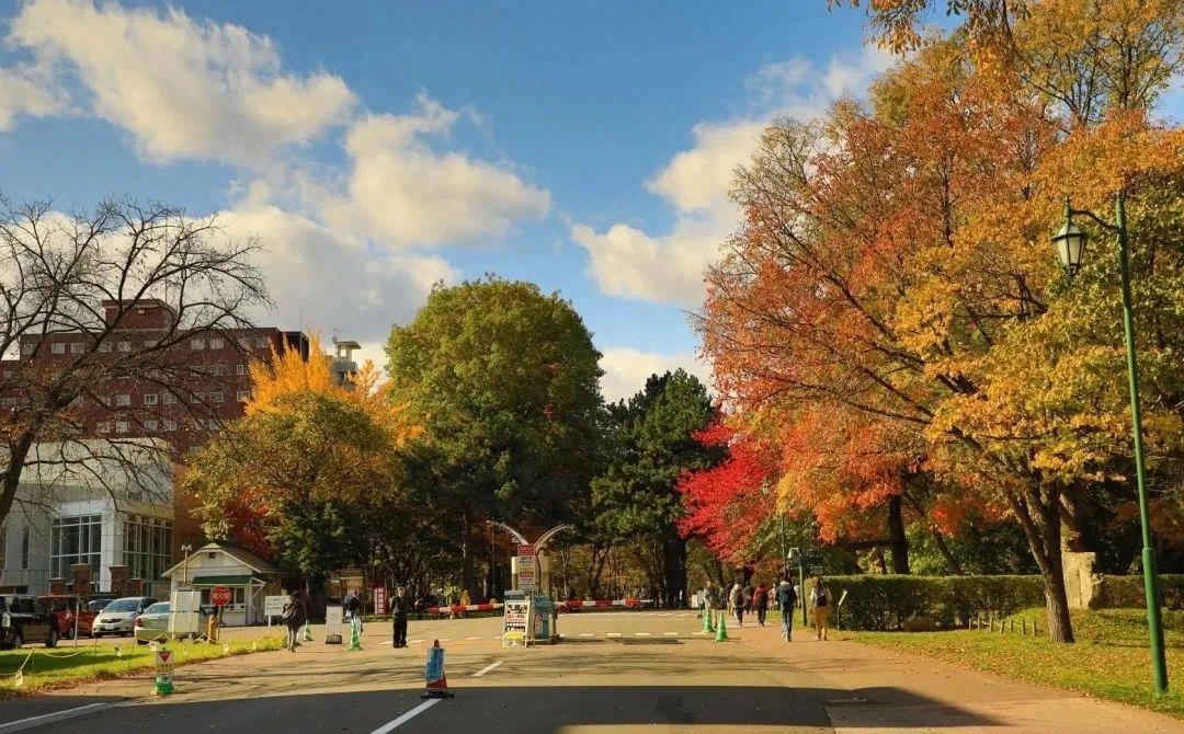 日本最美十大大学,日本北海道最好的大学