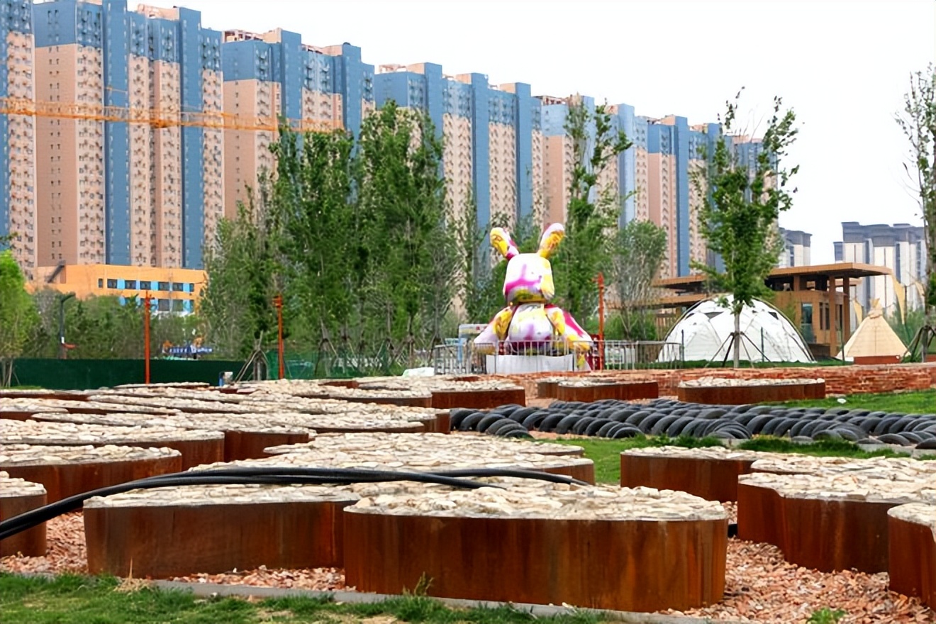 跟着小易去露营,跟着小易去旅行