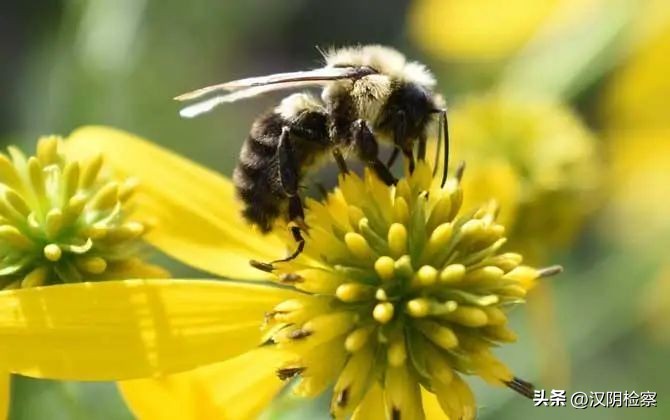 名单公布!西安入选;出行注意!这些列车有调整→【9月15日周四新闻速览一分钟】