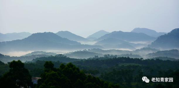 陈凯歌老照片大全集,陈凯歌的知青岁月