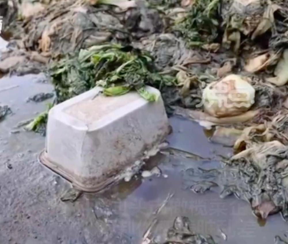 小青菜酸菜腌制教程,云南老酸菜怎么腌制