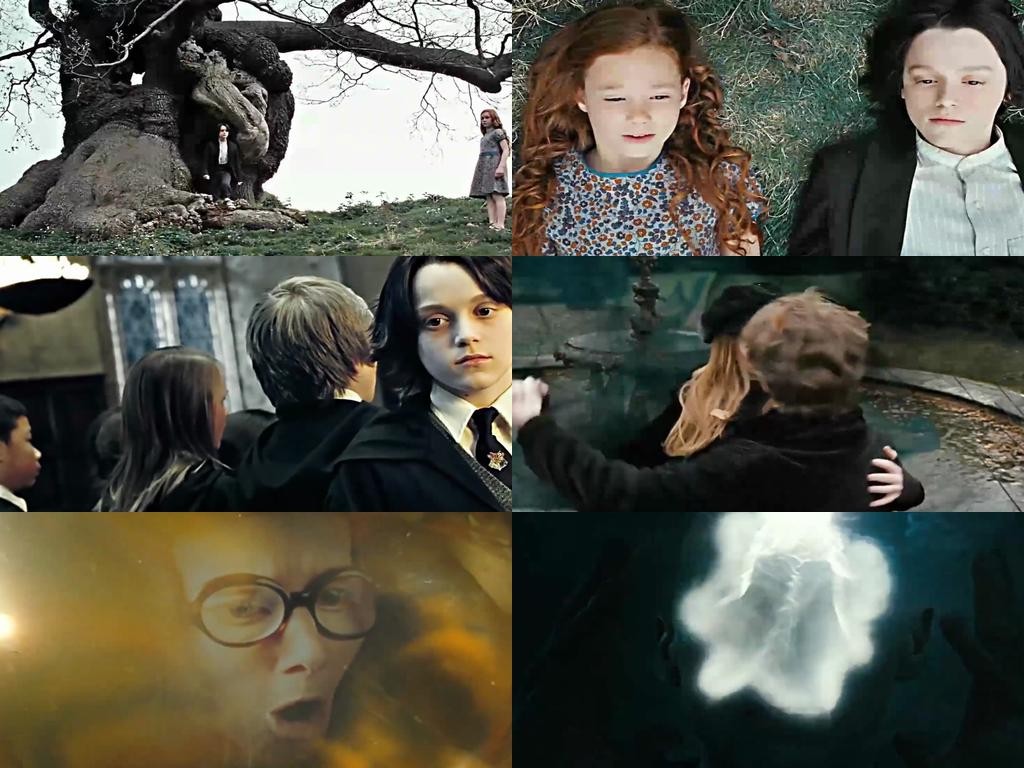 重温100次哈利波特,重温哈利波特说说