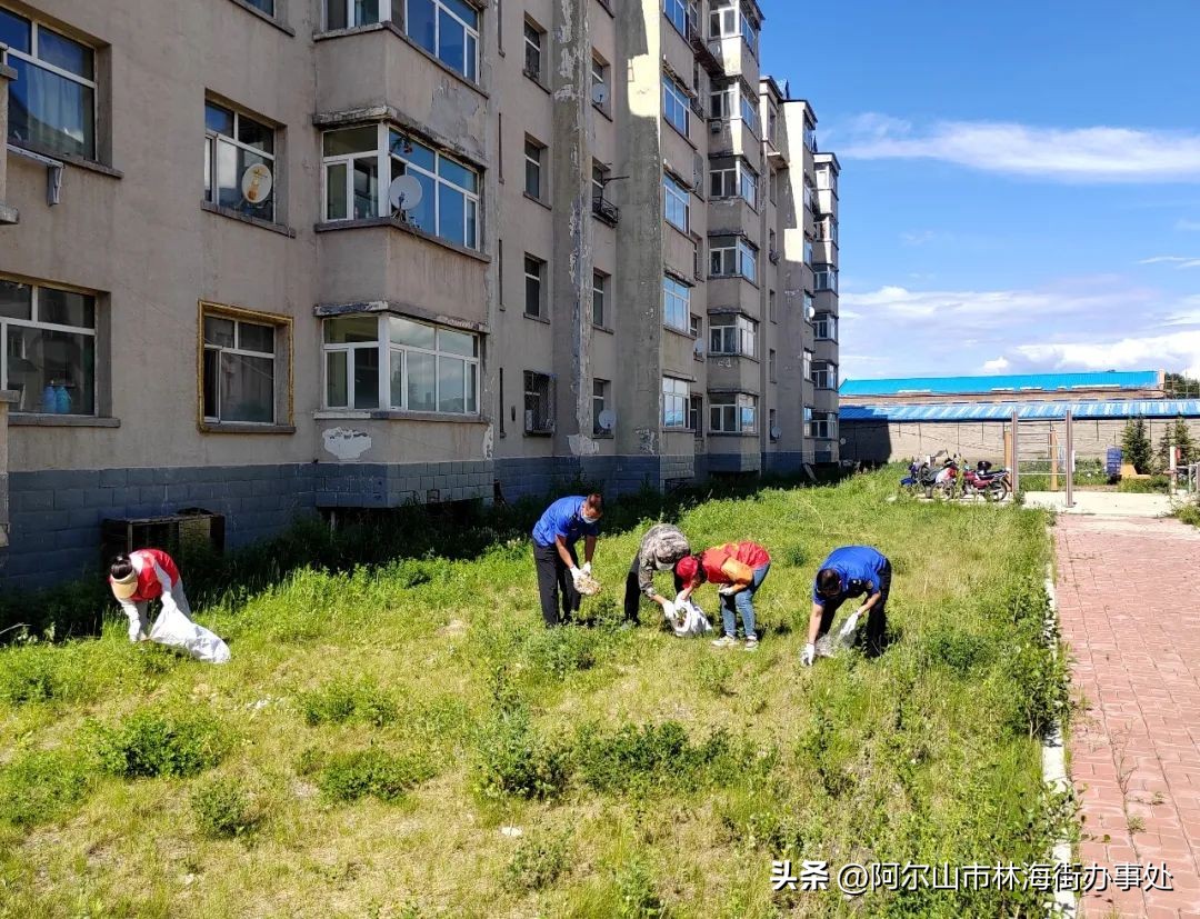 “*党**建引领聚合力助力创城我先行”阿尔山市林海街道兴林社区*党**支部开展全域互联共建环境卫生整治活动