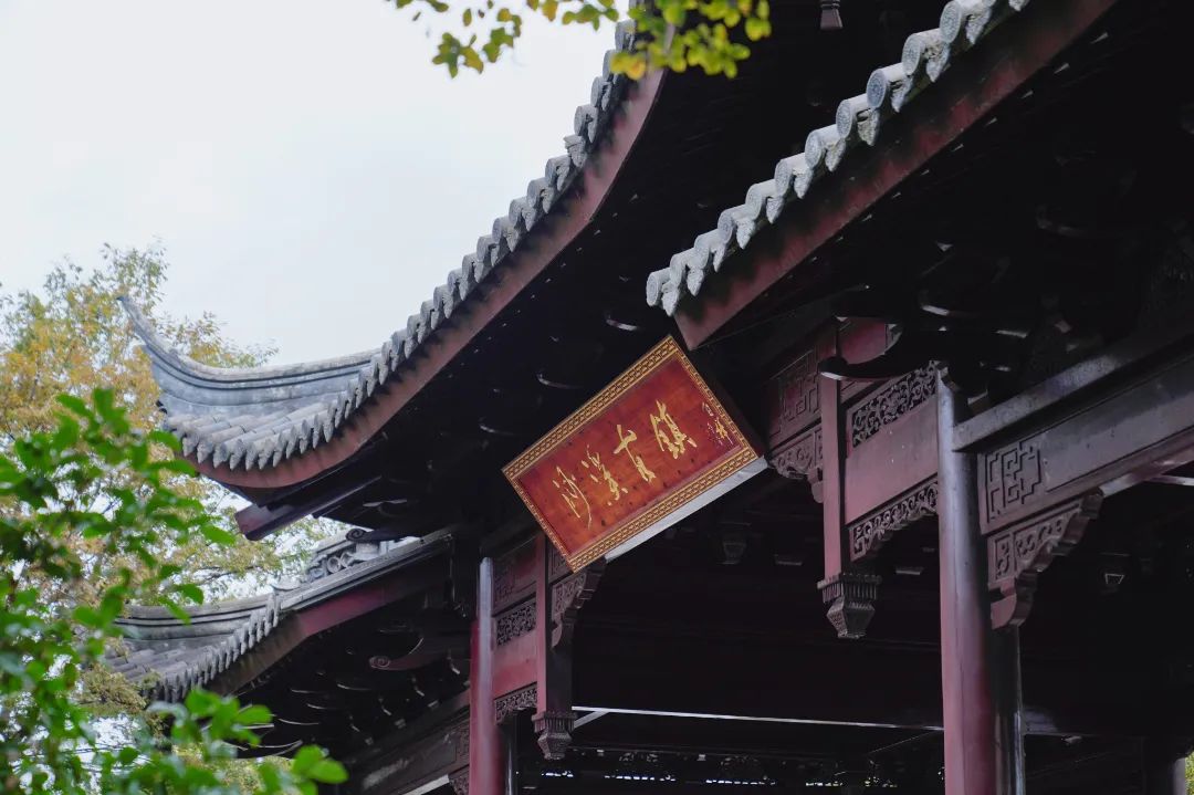 明星来太仓沙溪古镇,来沙溪的明星