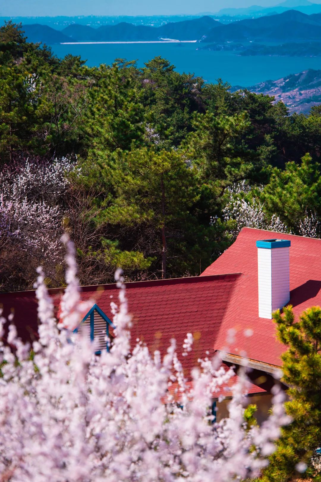 北京市密云区云峰山森林康养基地,北京密云康养基地