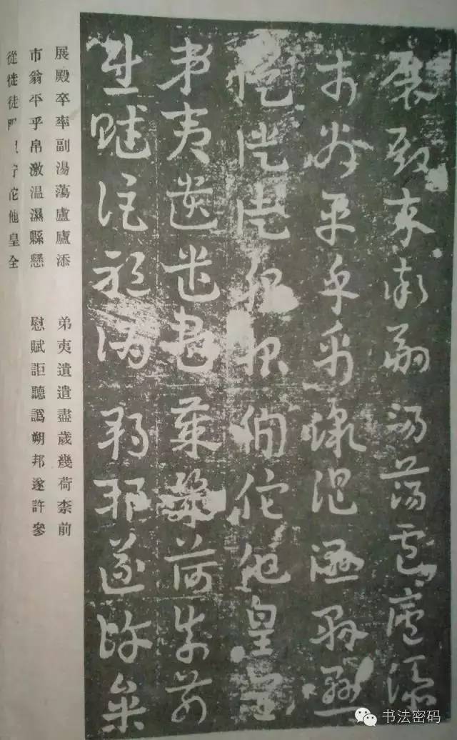 草书主要特点是什么书写有何技巧,草书意义和价值