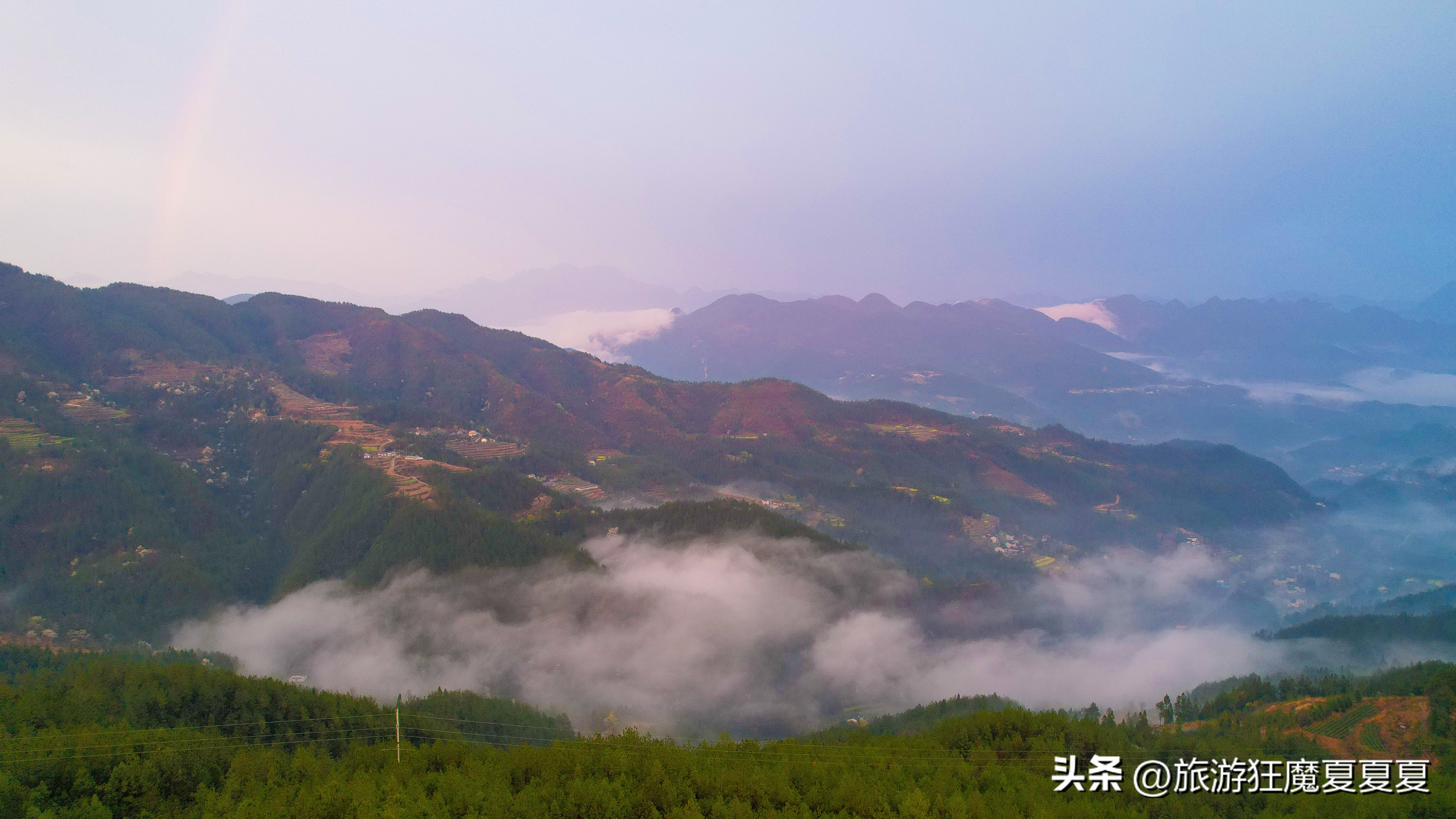 四川七个大学生创业养鸡？一干就是15年，养鸡场都能成了旅游景点