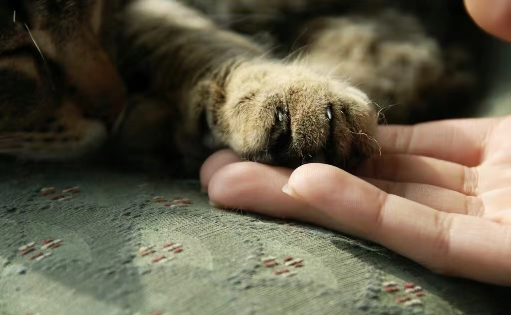 26岁女性腋下淋巴结肿大,艾滋患者是不是腋窝肿大结节