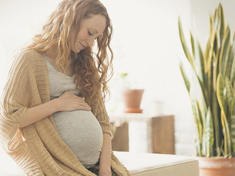 胎儿性别是从什么时候决定的,胎儿性别是怀上就决定了吗