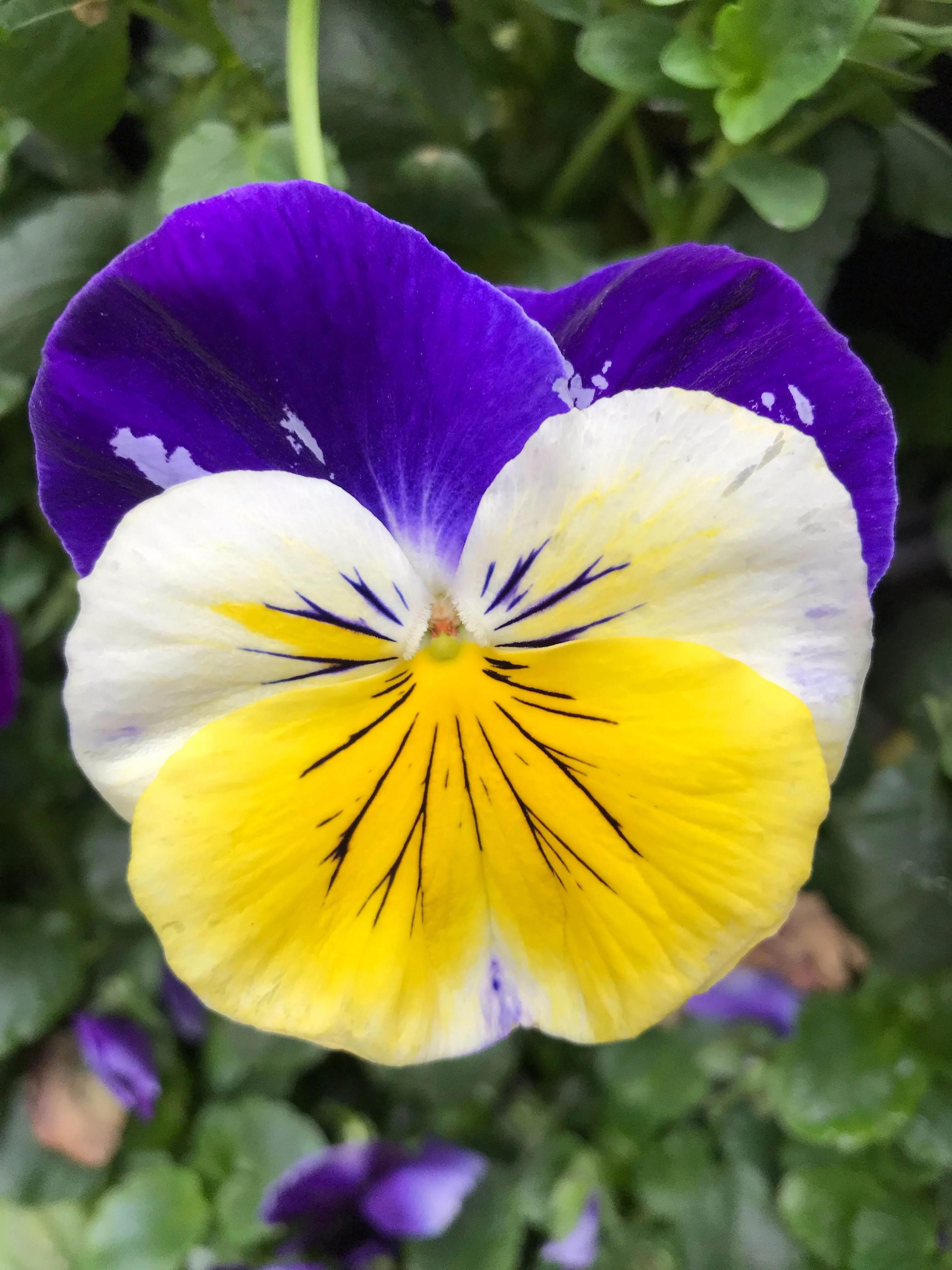 100种迷人的“数字花”,从零到一百万,真是太神奇了