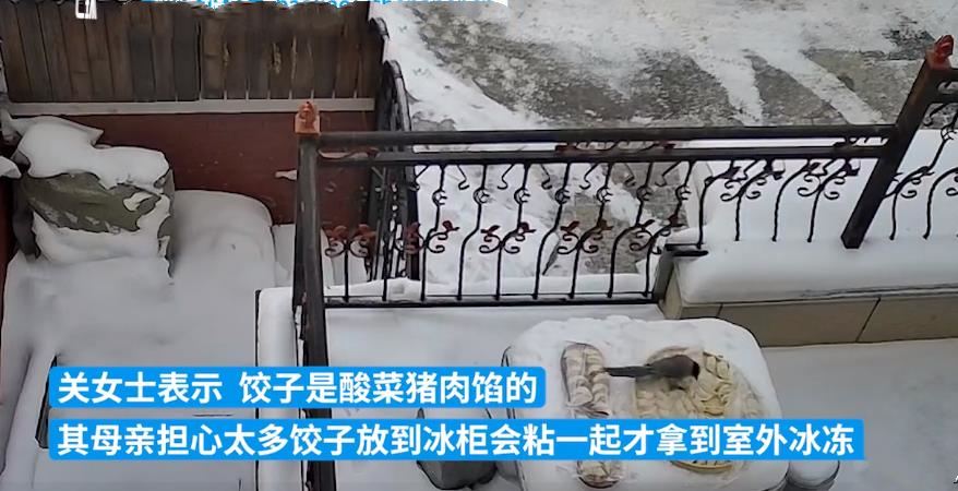 东北室外冻饺子被喜鹊叼走原视频,室外冻饺子被喜鹊叼走