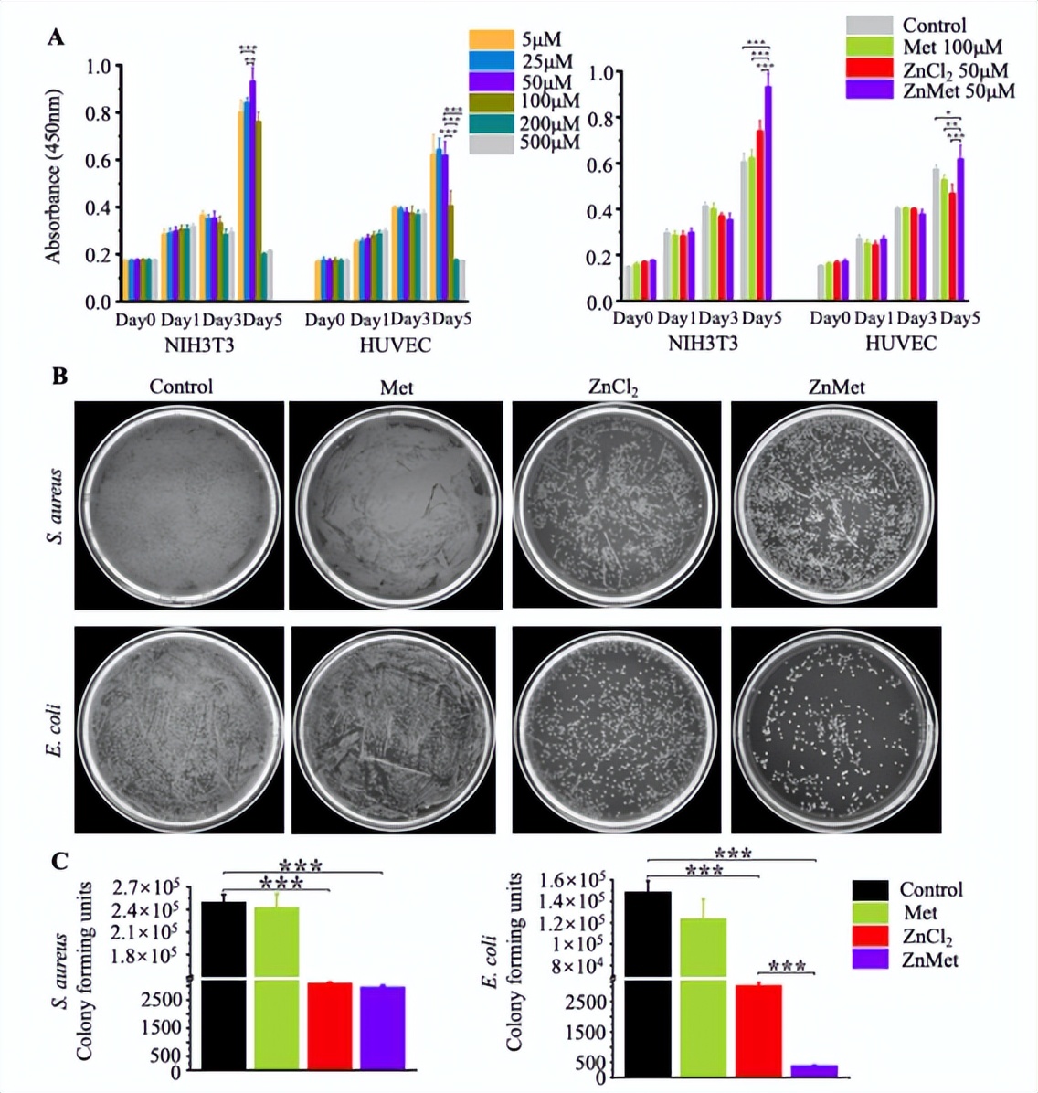 「科研快报」可喷雾热敏水凝胶与锌修饰二甲双胍促进皮肤创面愈合