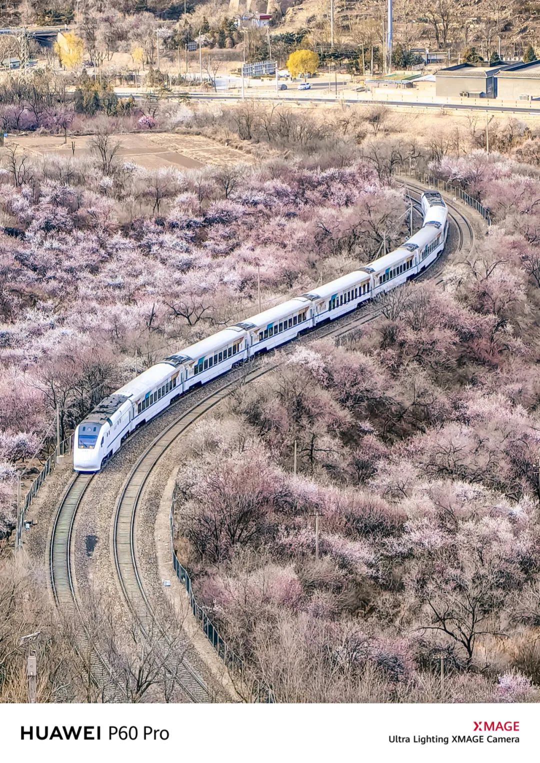 华为p60pro拍照样张原图,华为p60pro拍摄照片样张