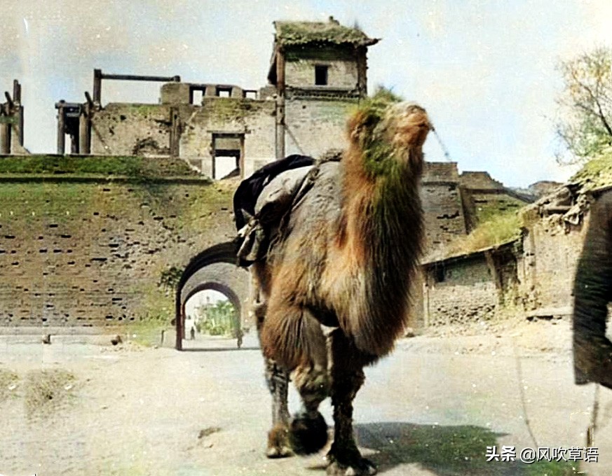 1939年日本鬼子真实影像,侵华日本鬼子视频