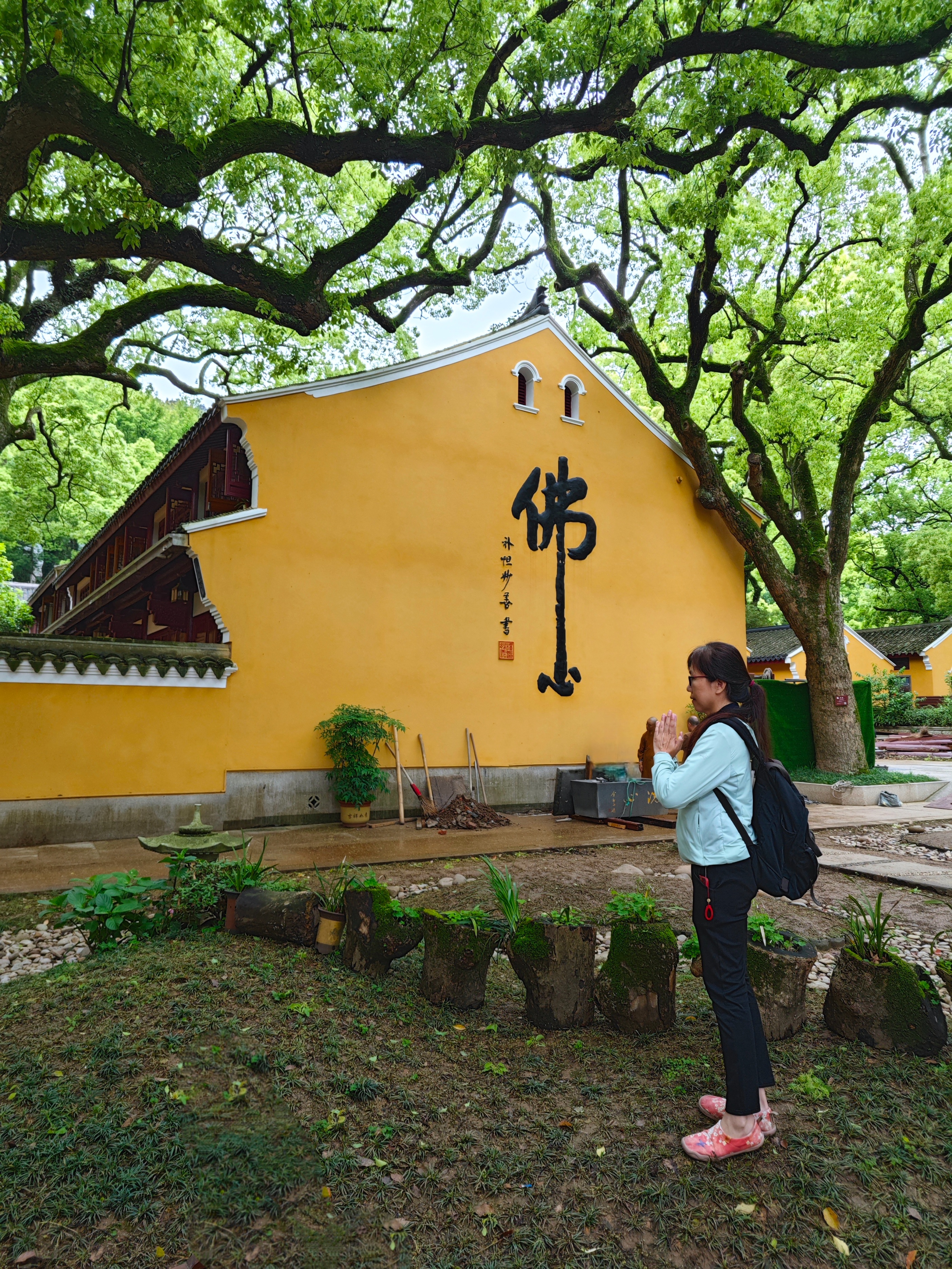 第三年到普陀山祈福之旅圆满,普陀山祈福二日杭州出发跟团游