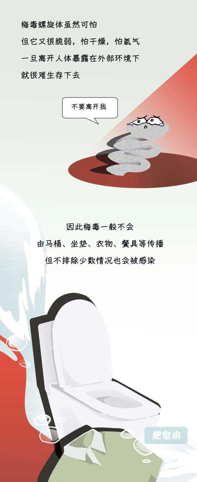 了解梅毒,了解一下梅毒病的形成与治疗