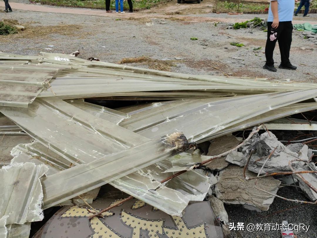 萌宠乐园报道创业青年肖莉昨日励志演讲，如今为何遭拆除要说法？