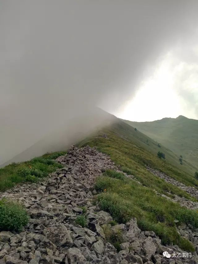 小五台山金莲花坡,小五台金莲花