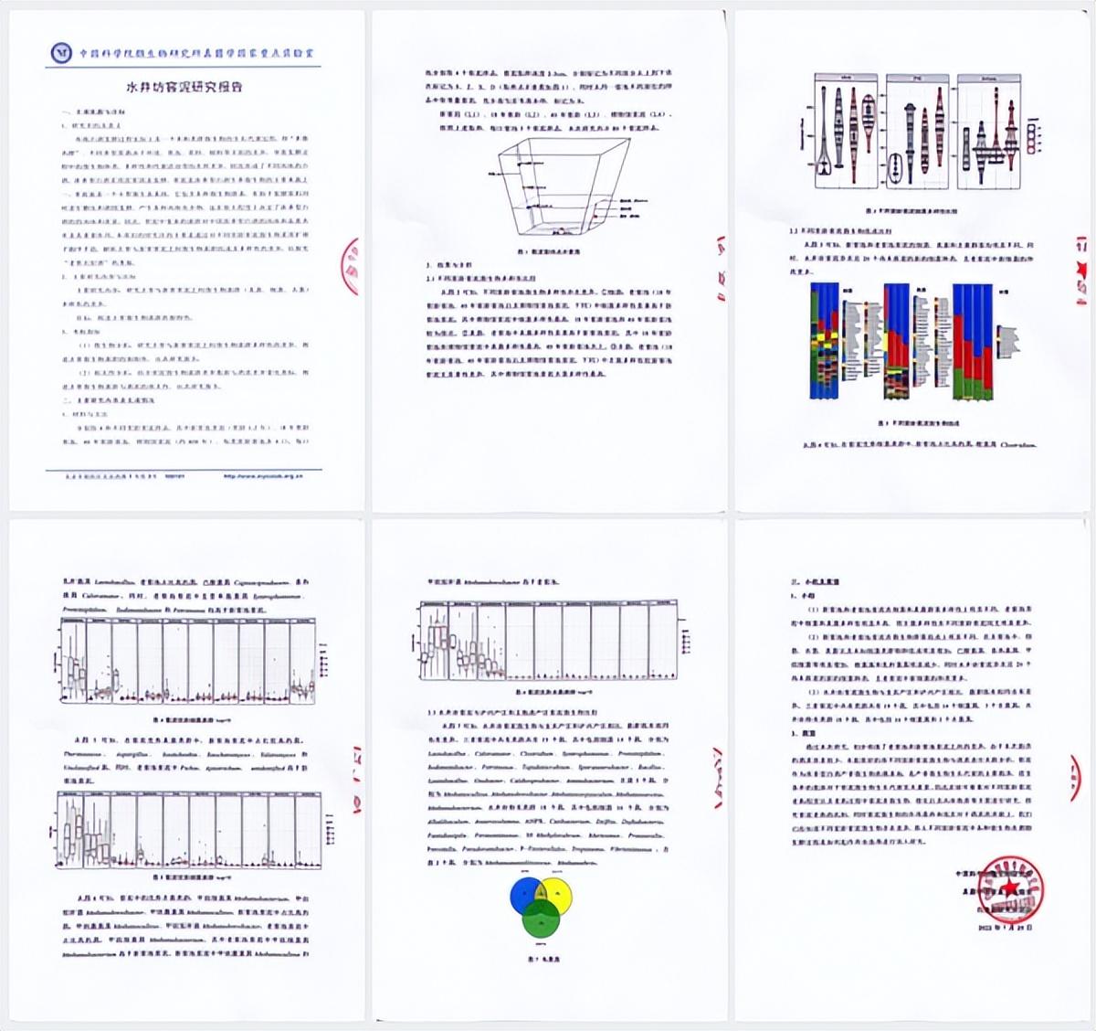 水井坊1号菌群,水井坊一号