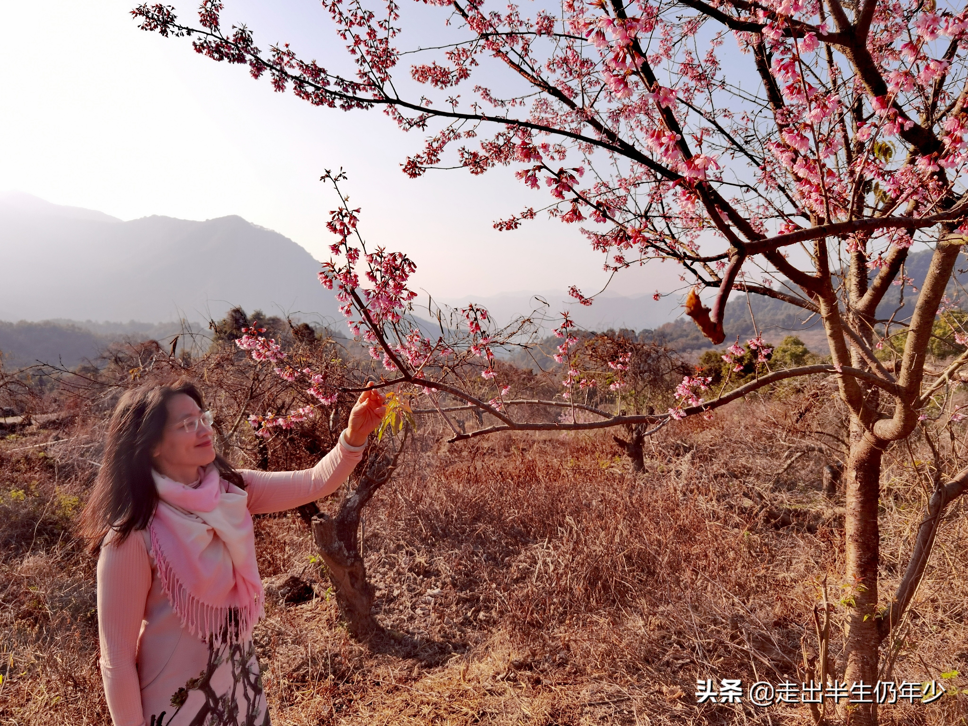惠东梁化梅园今天开放吗,惠东旅游景点梁化梅园