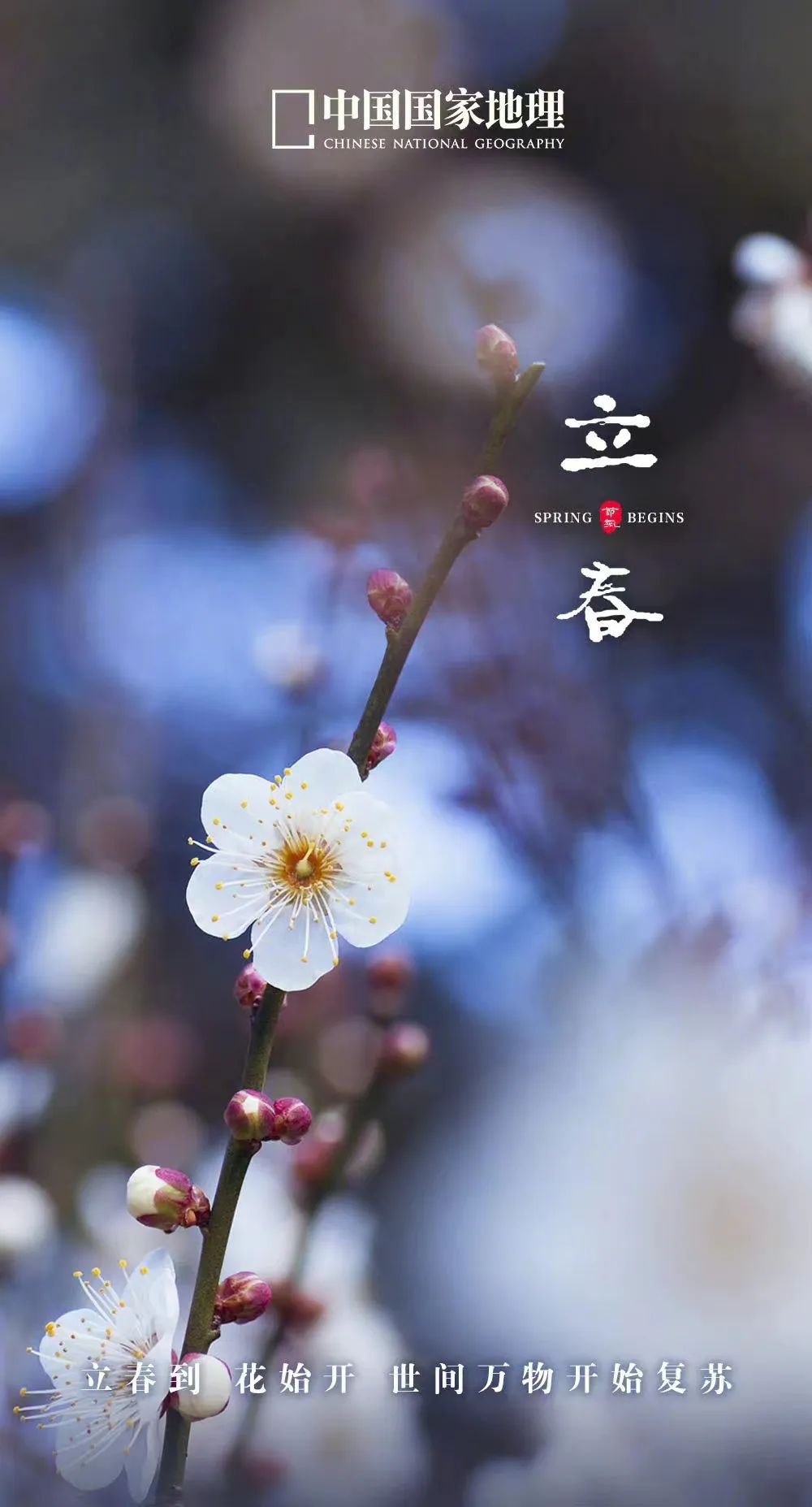 365天最美24节气图诞生惊艳国人,这组24节气图太美了