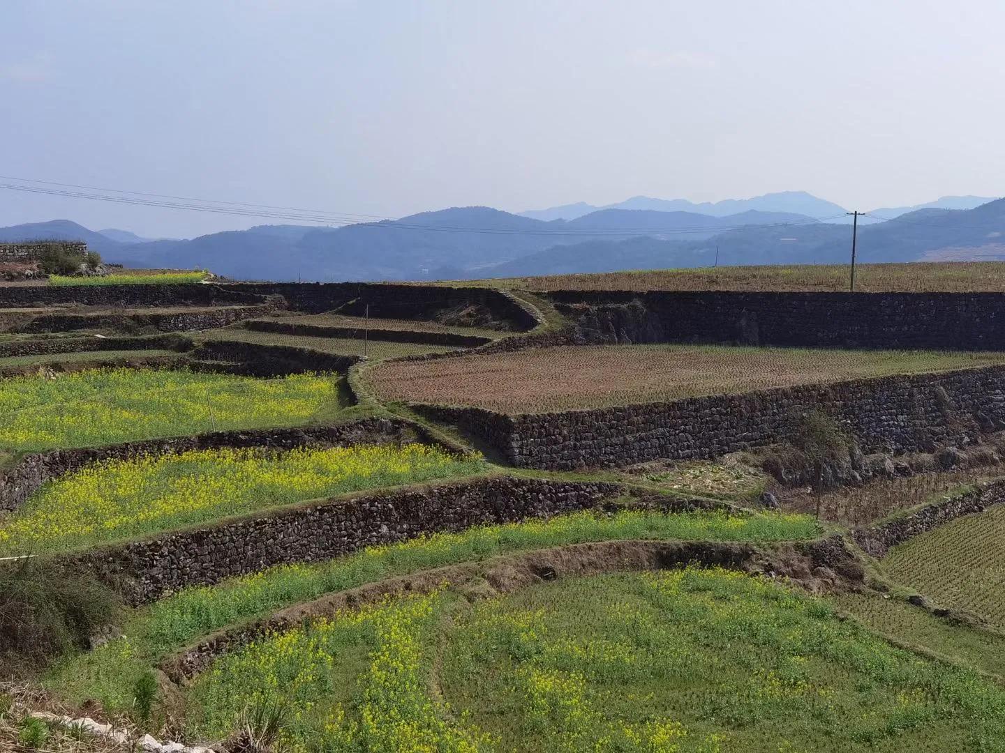 邵东野鸡坪村全景图,邵东市野鸡坪村新闻