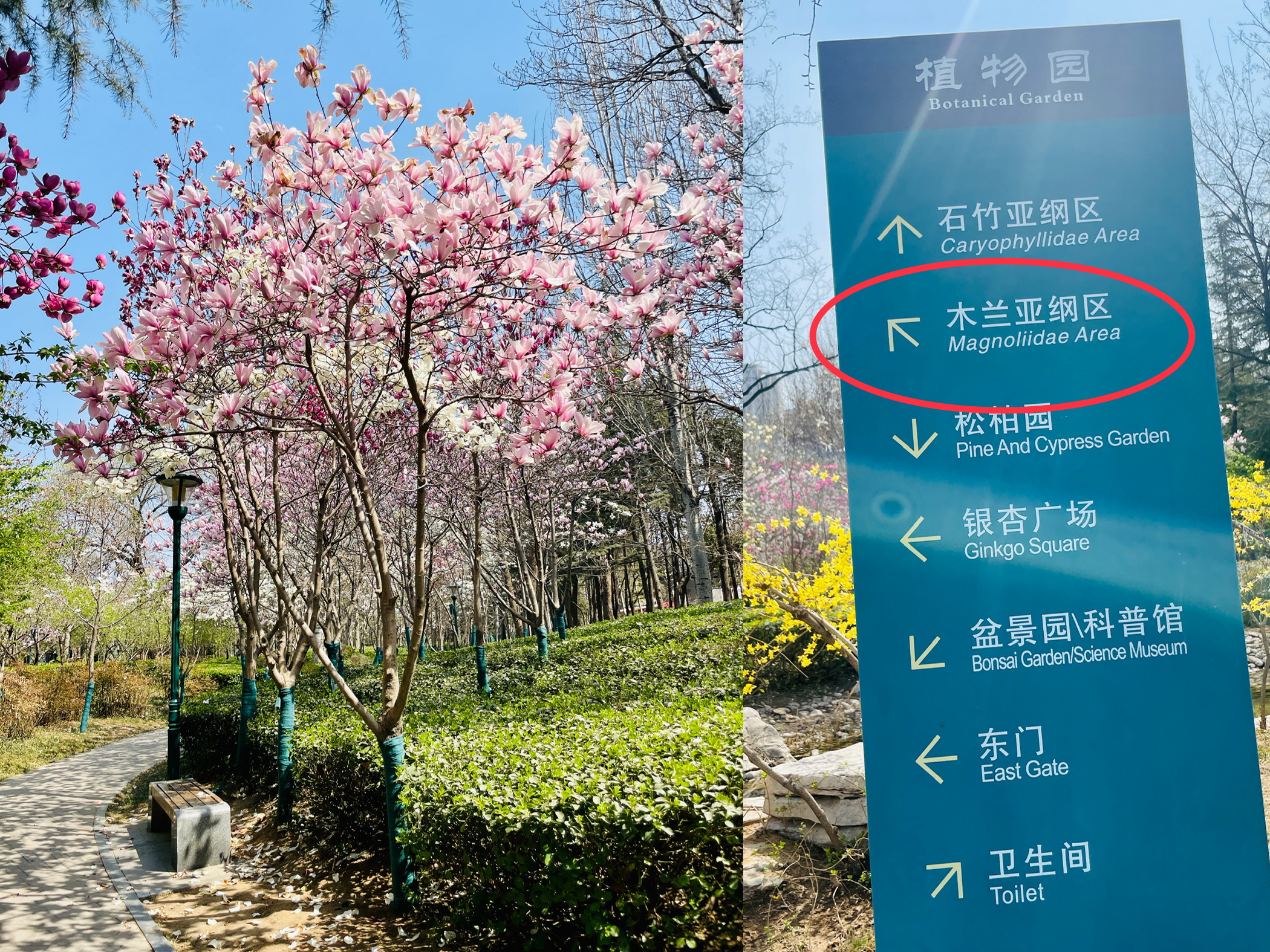 怎样让小孩识字过渡到自主阅读,4岁孩子识字量少如何自主阅读