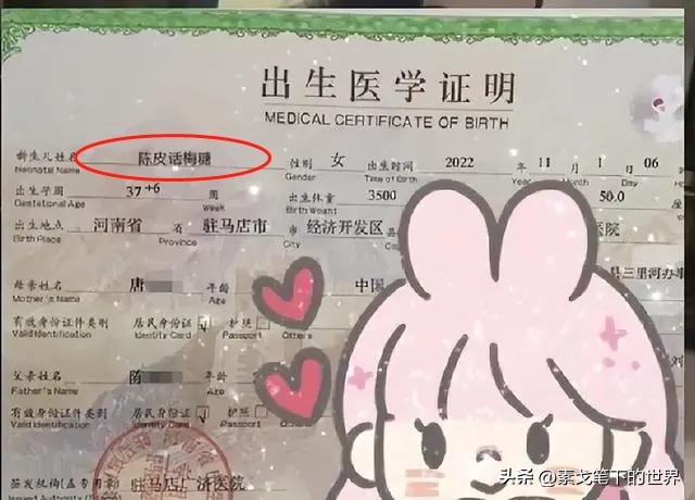 告别了“梓涵”时代，新一批“奇葩”名字来了！老师表示我想静静