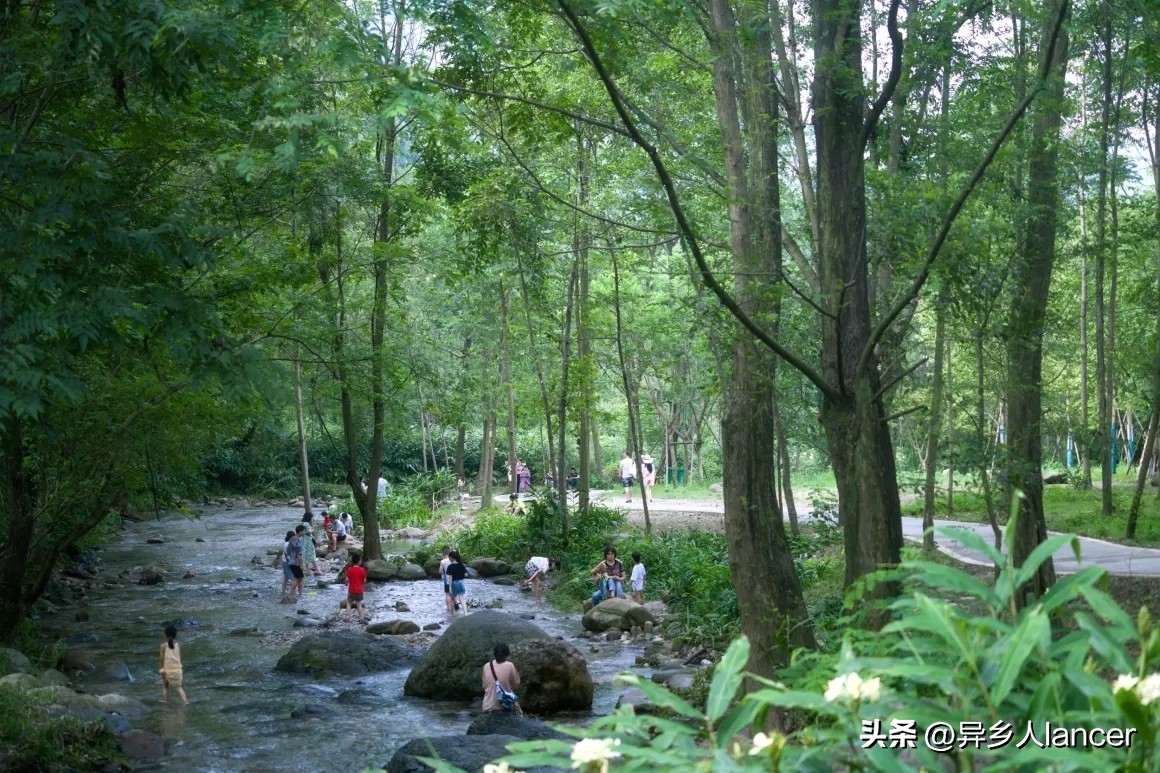 家庭农场：是否能成为乡村致富的新风口？