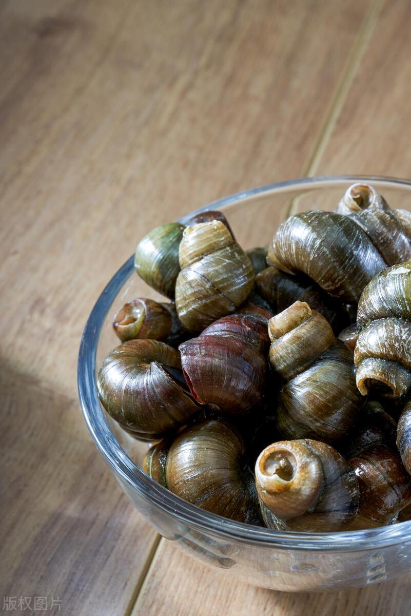 江苏捕田螺被抓视频,捕获田螺被抓