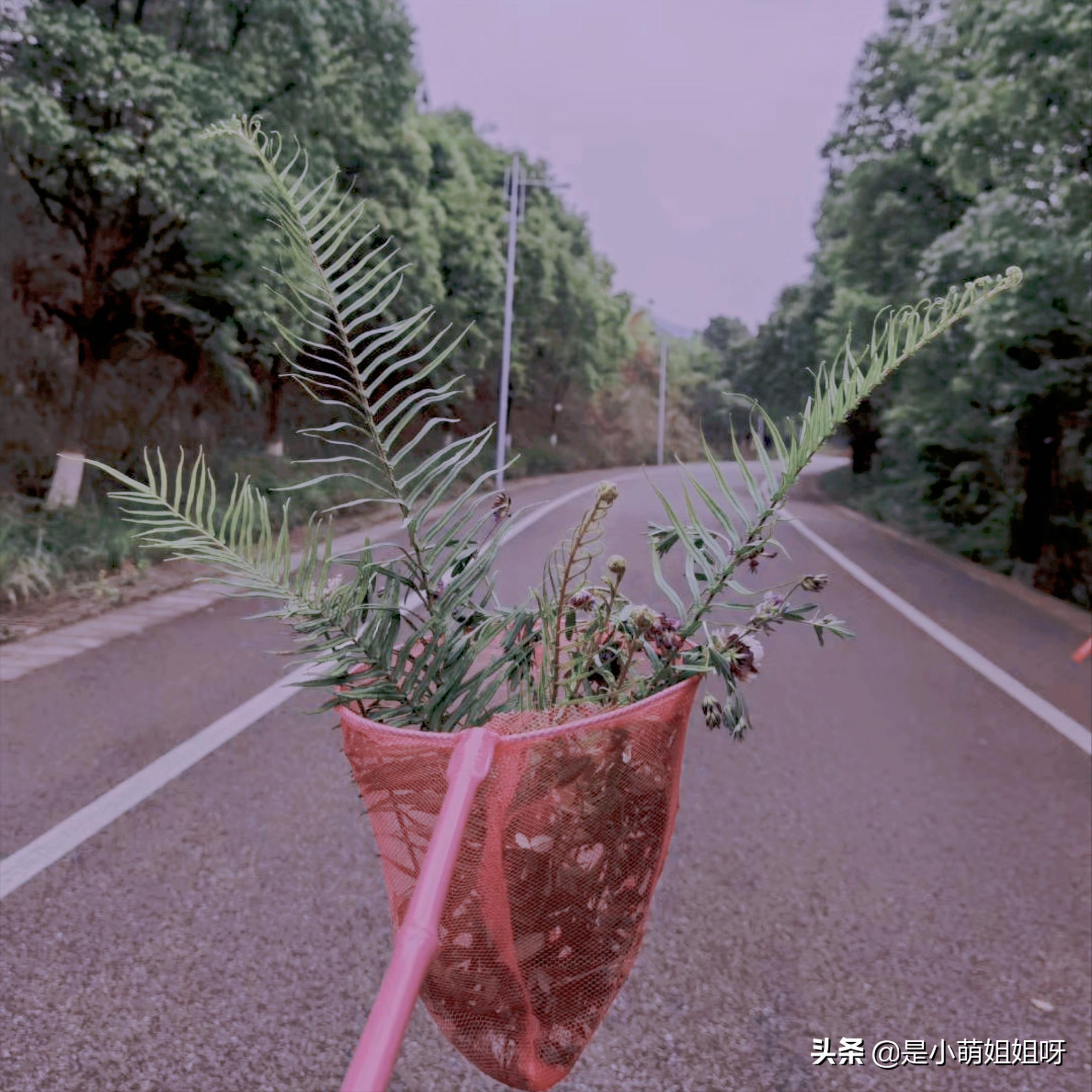 宅在家也能赚钱的副业,在家适合干什么副业赚钱