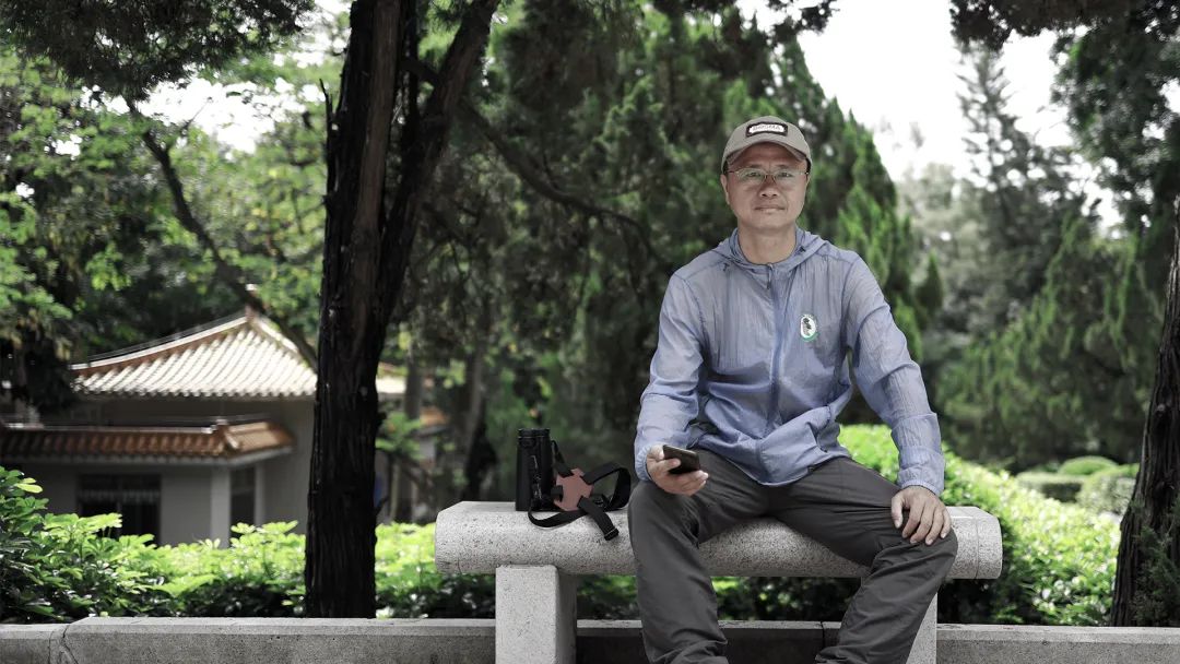 鸟人图鉴│守护稻田里的精灵，甄军寻找黄胸鹀