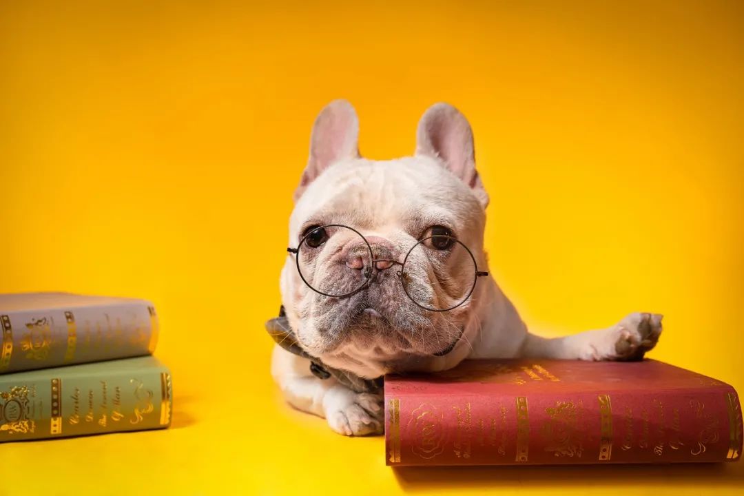 故事大全成人睡前幽默段子,搞笑幽默的段子故事