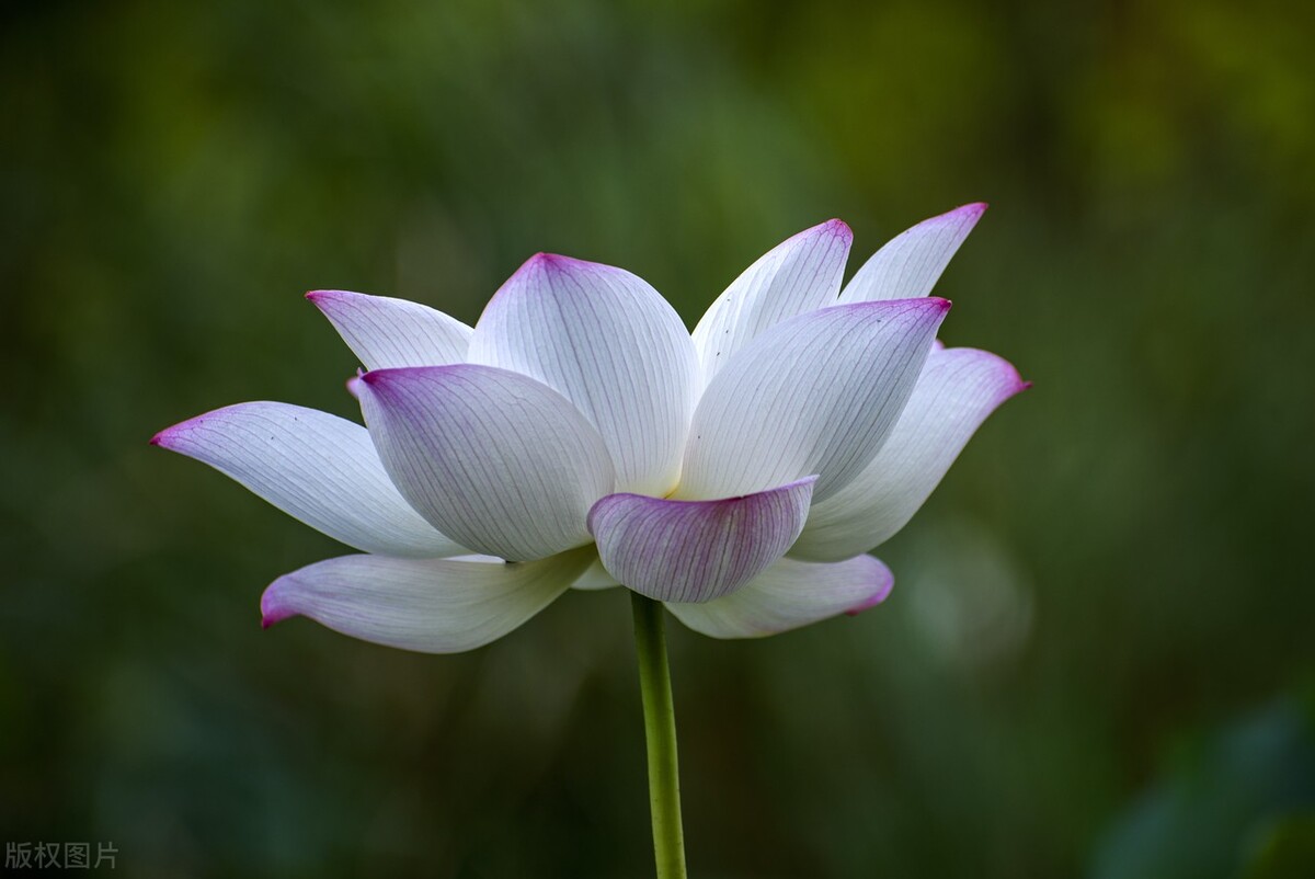 来杯2023，加糖，去冰，愿来年温暖如常，美好如初