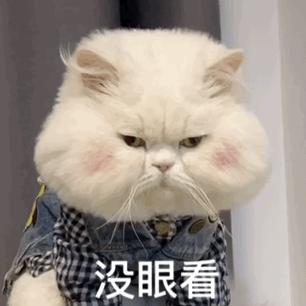 香港涨价,香港物价这几年涨了吗