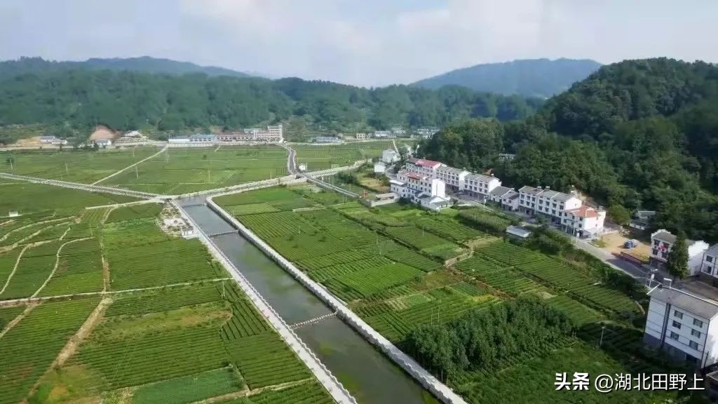 陆羽茶产业,陆羽文化茶产业