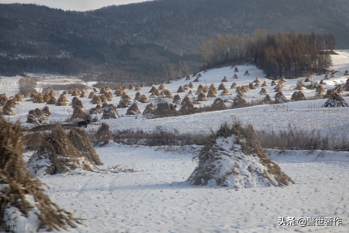 涓冨緥鐧诲疂濉斿北,闆勪紵澹附灞卞嘲涓冨緥