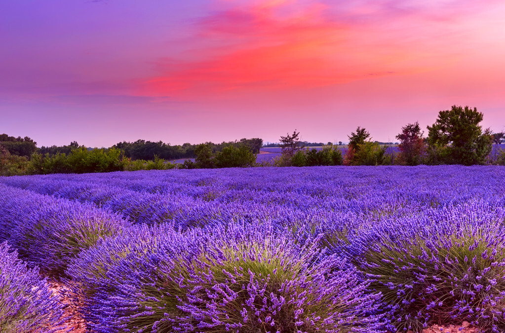 法国鲁昂旅游景点,法国十大著名景点英文